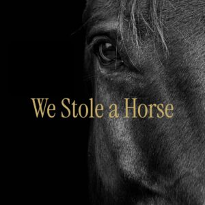 We Stole a Horse 1 News We Stole a Horse 1 News