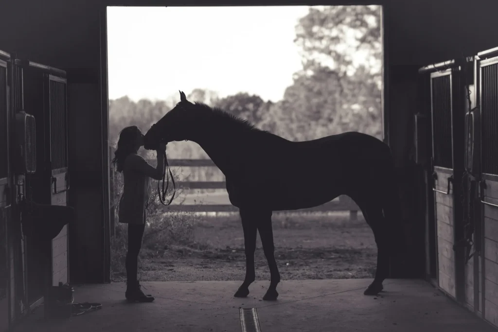 From Shergar to Smart Latch: The Changing Face of Equine Crime